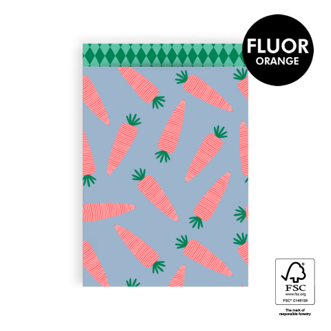 P33.297.017 Sint Cadeauzakjes - Wortel Fluor Orange - Harlequin Green - 17 x 25 cm