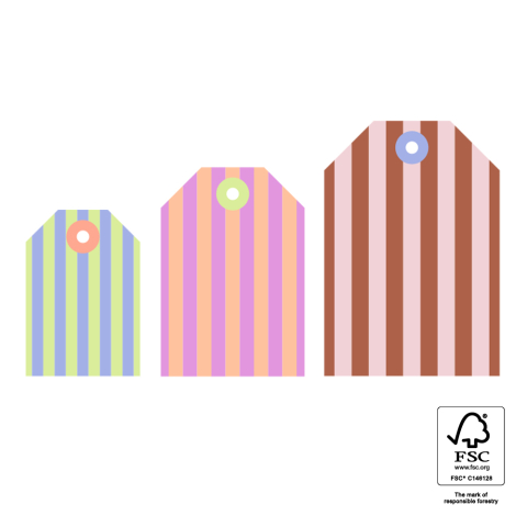 P72.119.075 Cadeaulabel Multi Sizes - Stripe Bright (S - M - L)