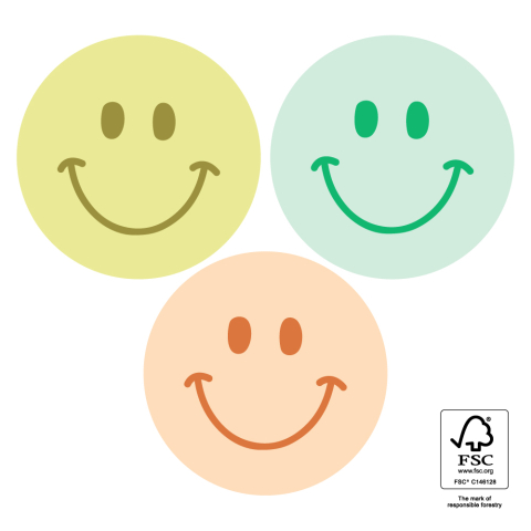 P74.429.250 Stickers Multi - Smiley Tonal