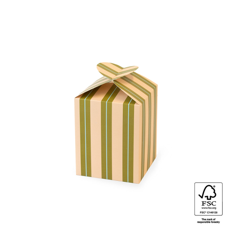 P76.209.125 Geschenkdoos - Medium - Stripe Chalk Peach