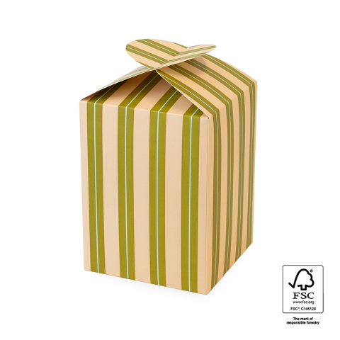 P76.209.175 Geschenkdoos - Large - Stripe Chalk Peach