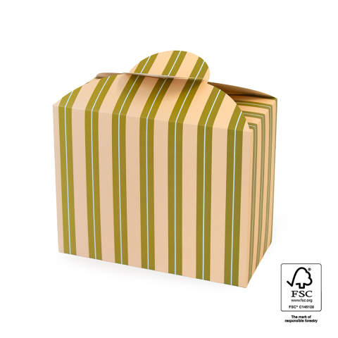 P76.209.220 Geschenkdoos - Wide - Stripe Chalk Peach
